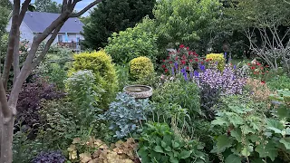 May Garden Tour (with Plant Names)