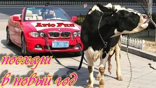 В Новый год с Avto fun Авто приколы серия 17 в 2017