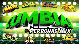 ⚡PURAS CUMBIAS PERRONAS MIX CUMBIAS SONIDERAS LO NUEVO 2024🎉MIX CUMBIAS PARA BAILAR TODA LA NOCHE💃