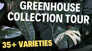 House Plant Greenhouse Tour (35+ Varieties)