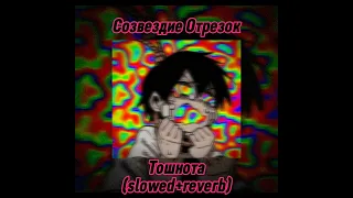 Созвездие Отрезок — Тошнота (slowed+reverb)