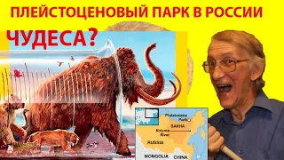 Чудеса? Возрождение Мамонта: Миф или Реальность? Pleistocene Park in Russia. De-extinction.