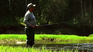 ГОЛОДНЫЕ ЩУКИ ТАЕЖНОЙ РЕКИ / ВВЕРХ ЧЕРЕЗ ПЕРЕКАТЫ / Защита на мотор / Наедине с тайгой