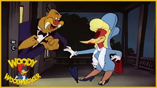 Woody Woodpecker | Wally's Lady Visitor | Full Episodes