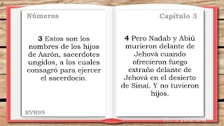 🔴 Libro de NÚMEROS COMPLETO - La Biblia Hablada