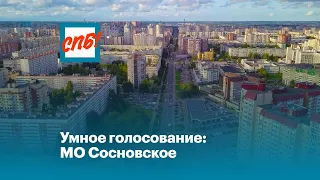 Умное голосование: МО Сосновское