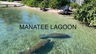 Manatee Lagoon West Palm Beach :Bull Sharks &Manatees for Free!#westpalmbeach