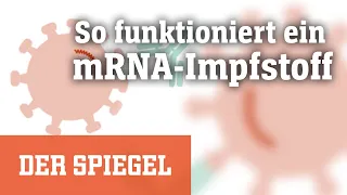 Corona: Wie funktioniert ein mRNA-Impfstoff? | DER SPIEGEL