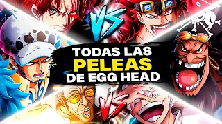 TODAS las ÉPICAS PELEAS del ARCO de EGG HEAD - One Piece