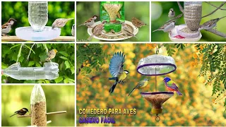 🐥🐦Como hacer un comedero para pájaros con botellas de plastico 2024