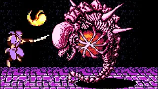 Ninja Gaiden Remake (PC) All Bosses (No Damage)