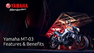 2020 Yamaha MT-03: Features & Benefits