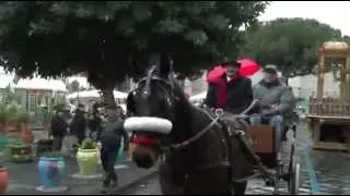 Cereo Macellai, Festa S.Sebastiano, CT 20/1/15 - preludio festività Agatine