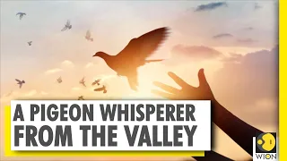 Kashmir Connect: Meet a pigeon whisperer from the valley