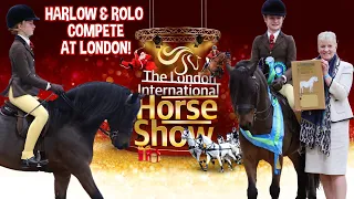 HARLOW AND ROLO COMPETE AT LONDON INTERNATIONAL HORSE SHOW!