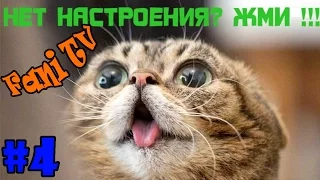 Лучшие приколы в Fani TV за неделю #4  Подборка приколов