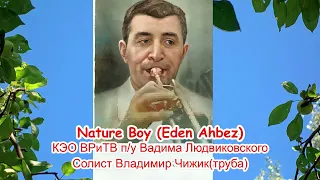 Nature Boy (E.Ahbez) Владимир Чижик, труба, оркестр В.Людвиковского