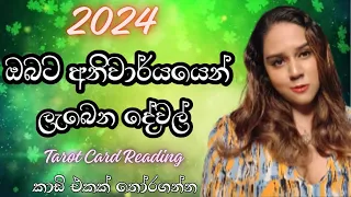 2024 වසරේ ඔබට නිසැකවම ලැබෙන දේවල් What you will get on 2024 Tarot Card Reading Sinhala