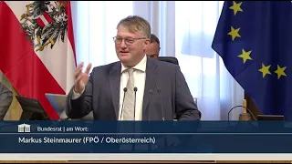 Markus Steinmaurer - Gewerbeordnung, Bundesabgabenordnung "Grace-Period Gesetz" - 29.5.2024