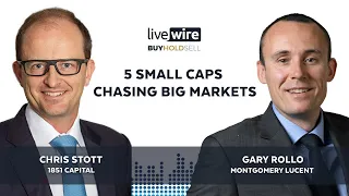 Buy Hold Sell: 5 small caps chasing big markets