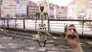 FWU - Das Skelett des Menschen - Trailer