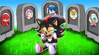 R.I.P All Friends - Baby Shadow Say Goodbye! - Very Sad Story - Sonic the Hedgehog 2 Animation