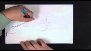 Medical Neuroanatomy - Cranial Nerve II and Visual Pathways from Retina to Occipital Lobe (stable)