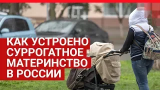 Как на самом деле устроено суррогатное материнство в России | 161.RU