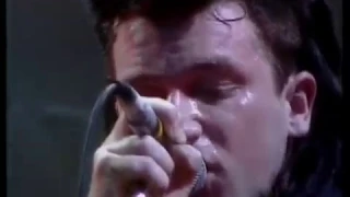 U2 - Unforgettable Fire tour, Westfalenhalle, Dortmund, Germany (1984/11/21)