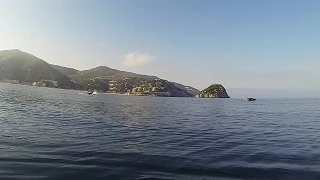 BERGEGGI - DELFINI ACCOMPAGNANO KAYAK