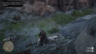 Red Dead Redemption 2- Be careful with shortcuts and always carry Horse Reviver