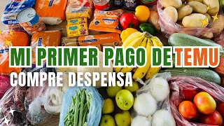 MI PRIMER PAGO DE TEMU🥳Ocupe el dinero para comprar despensa🤩haciendo el súper  surtiendo Ladespensa