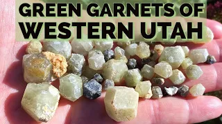Hunting for Western Utah's Green Garnets (Grossular)!
