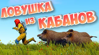 САМЫЙ БЫСТРЫЙ СТАРТ за 6000 ЧАСОВ! ЛОВУШКА ИЗ КАБАНОВ в РАСТ/RUST