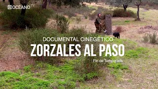 zorzales al finalizar la temporada