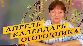 Календарь огородника и садовода на апрель 2023 года.