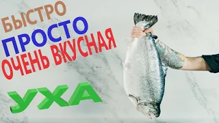 №53 ОЧЕНЬ ВКУСНАЯ УХА, ПРОСТО И БЫСТРО #дом #город #природа  #путешествие  #vladimir #еда #уха