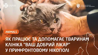 BASED: співпраця із ветеринарною клінікою "Ваш добрий лікар" у прифронтовому Нікополі