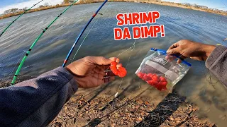 Catfish Bait Recipe (Shrimp Bait Sauce)