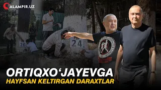 ORTIQXO‘JAYEVGA HAYFSAN KELTIRGAN DARAXTLAR