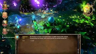 Divinity: Original Sin Gameplay Episode 15 (Finding The White Witch)