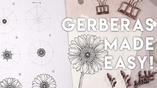 How To Draw Gerberas Like A Genius ✨