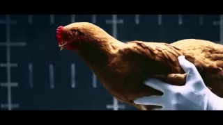 Mercedes Chicken - MAGIC BODY CONTROL - Funny Very Amazing Commercial