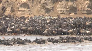 tanzania crossing