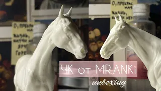 Model horse unboxing! РАСПАКОВКА лошади ЧК от MR.ANki