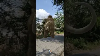 Mammoth ~ Gomphotherium ~ Stegodon | Elephant | Jurassic world Alive