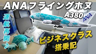 空飛ぶウミガメ！ANAフライングホヌ✈️ビジネスクラス搭乗記｜ホノルル→成田