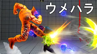 晴れ時々サマソ ウメハラガイル対グラマスメナト　Daigo Umehara(Guile) VS Ahosei(Menat)