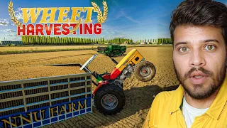 Wheat Harvesting with Swaraj 855 Dinosaur🔥 | FS22 | Punjabi Spanker