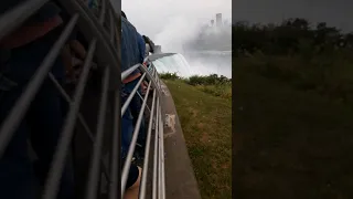 ти страшний спеціаліст #ukraine #доброговечорамизукраїни #video #niagarafalls